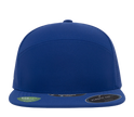 Flexfit 110® Premium Arch Perforated Cap product image