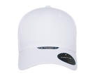 Flexfit Mesh Cap product image