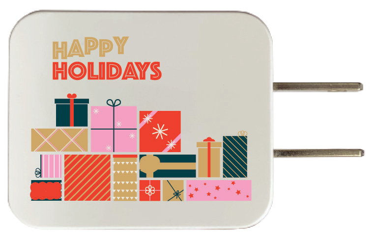iPort Plus Wall Charger product image