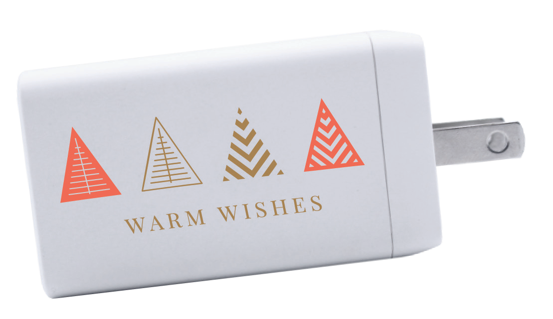 iPort Plus 65W Wall Charger product image