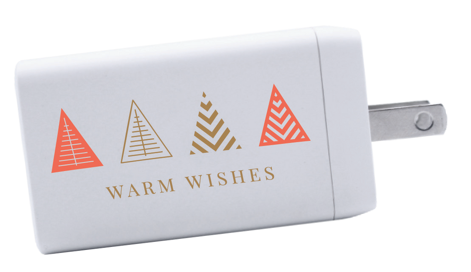 iPort Plus 65W Wall Charger product image