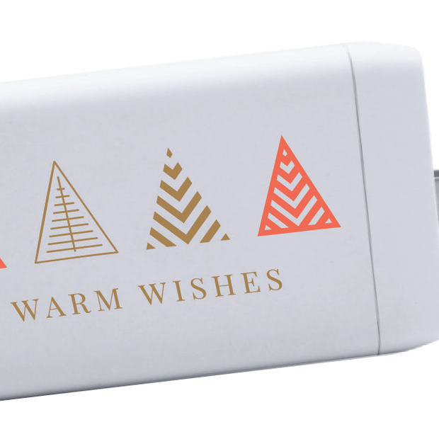 iPort Plus 65W Wall Charger product image
