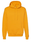 Champion Gold Team Hoodie